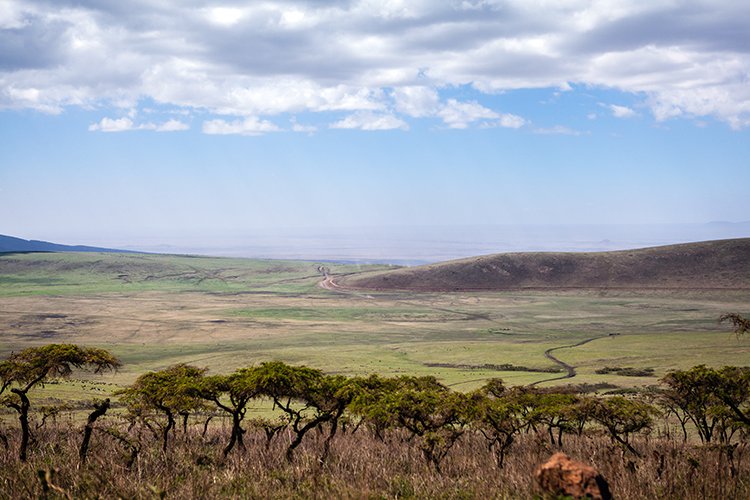 TZA ARU Ngorongoro 2016DEC23 038